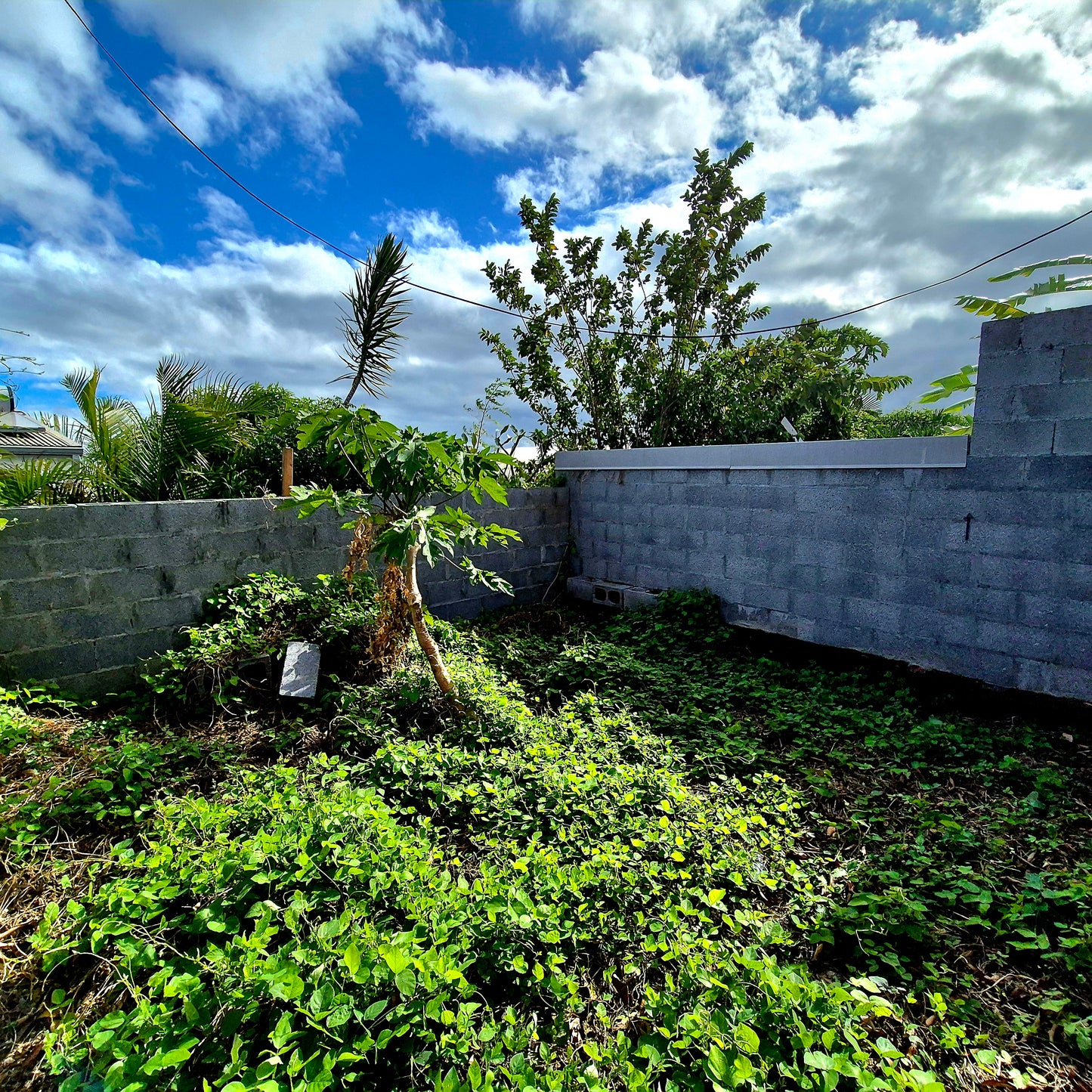 SAINT-PIERRE/Maison 58m2 + Dépendance-Opportunité à saisir