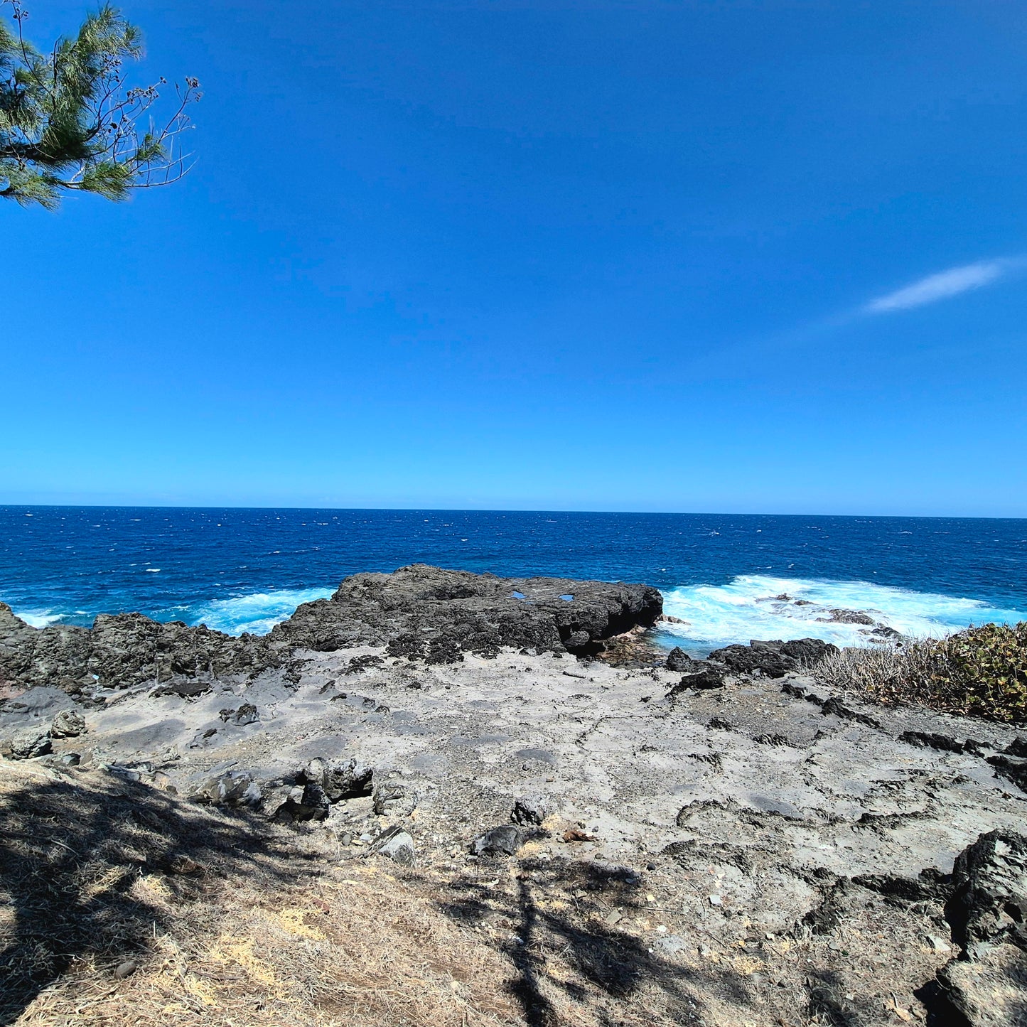 SAINT-PIERRE/ VILLA CONTEMPORAINE AVEC PISCINE FACE A LA MER
