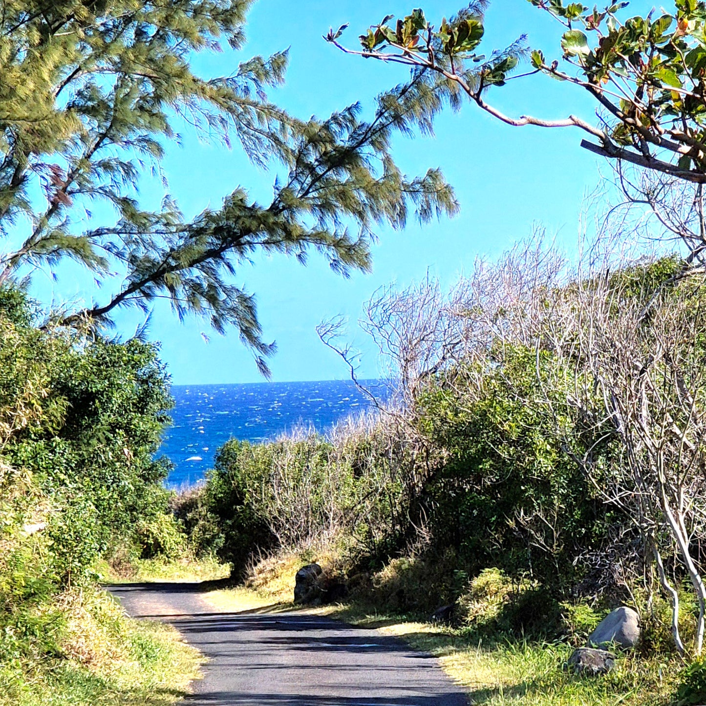 LANGEVIN/ Projet touristique à développer - Maison principale piscine + 4 logements