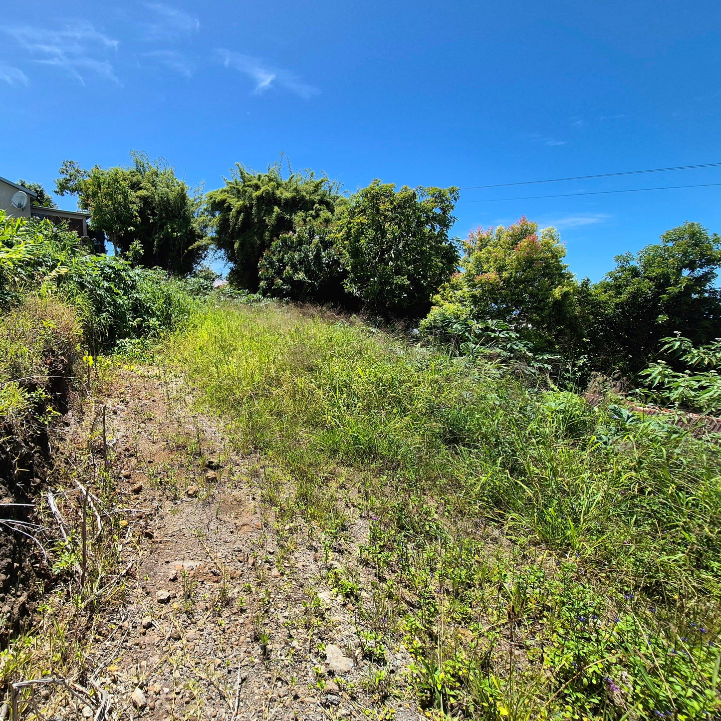 SAINT-JOSEPH/TERRAIN 892M2 + DEPENDANCE