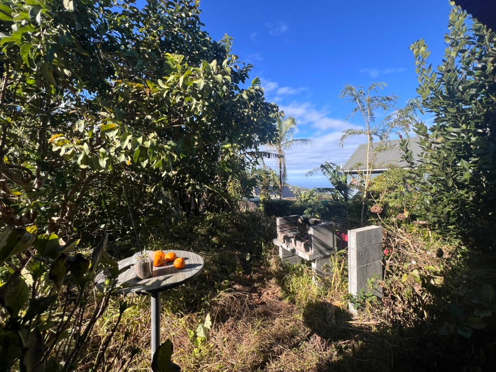 LA CHALOUPE SAINT-LEU / MAISON CRÉOLE 3 PIECES