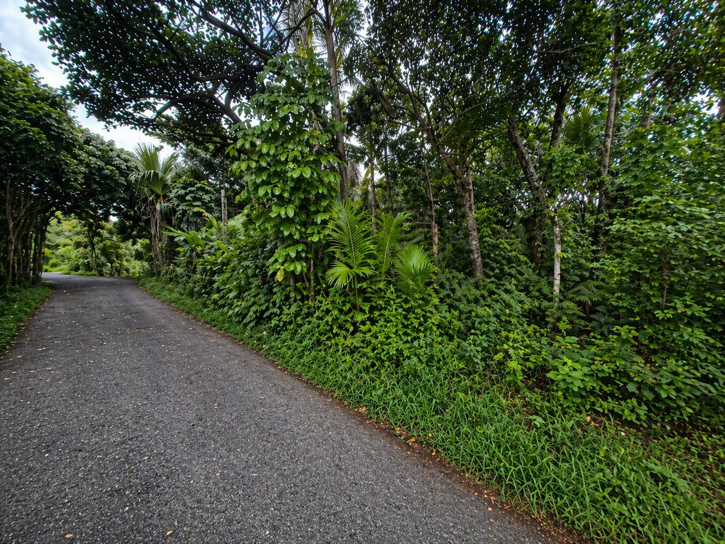 SAINT-JOSEPH/ TERRAIN 400m2 AVEC VUE DEGAGEE