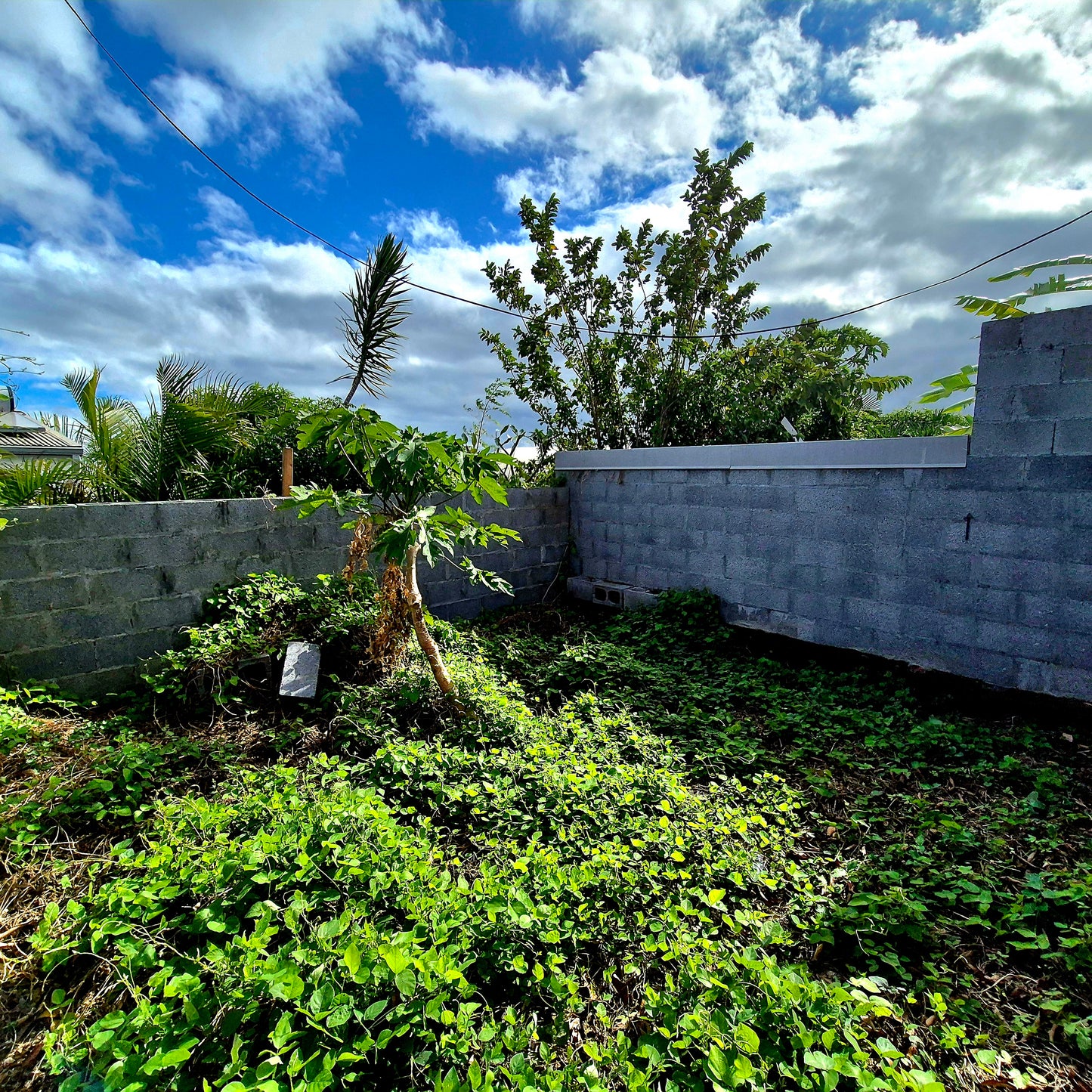 SAINT-PIERRE/Maison 58m2 + Dépendance