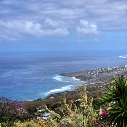 SAINT-LEU/ MAISON DE CHARME AVEC VUE OCEAN ET JARDIN LUXURIANT