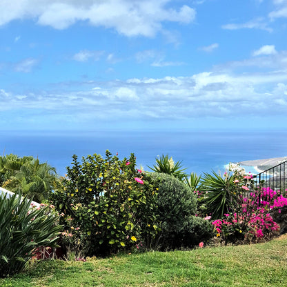 SAINT-LEU/ MAISON DE CHARME AVEC VUE OCEAN ET JARDIN LUXURIANT