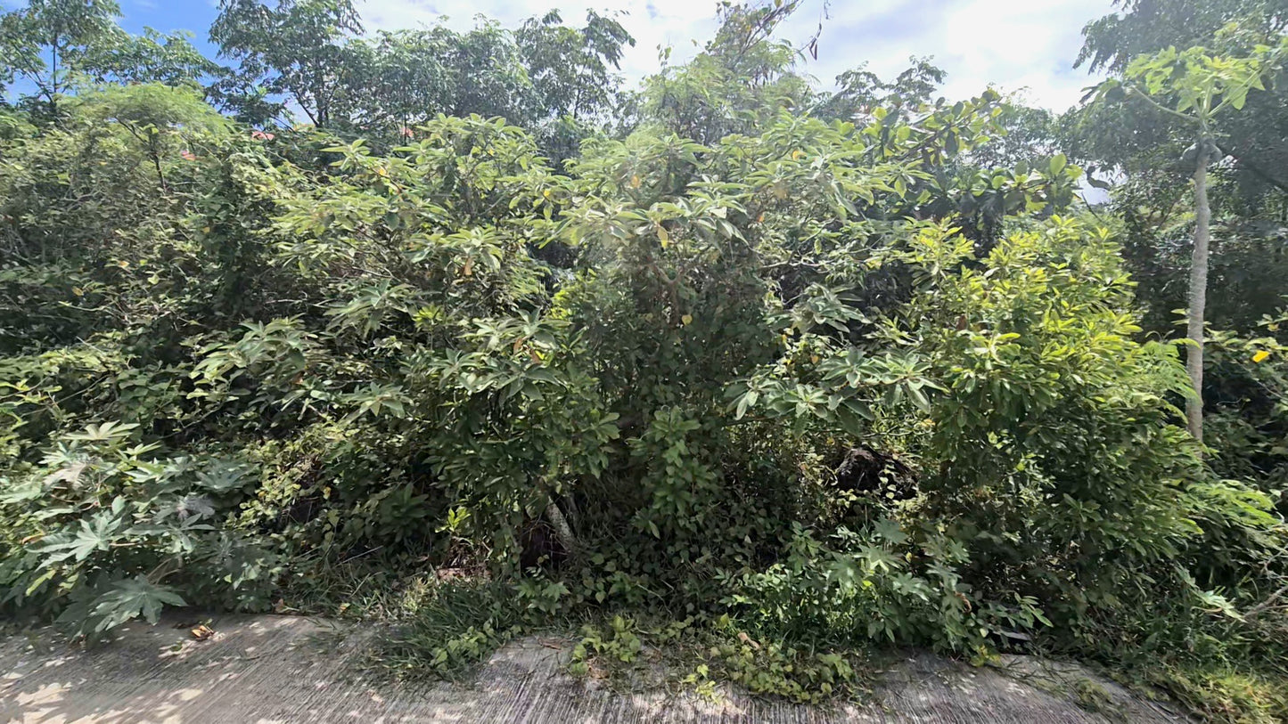 SAINT-JOSEPH/TERRAIN DE 467M2 ENTRE LANGEVIN ET VINCENDO