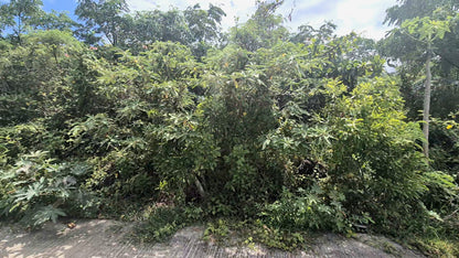 SAINT-JOSEPH/TERRAIN DE 467M2 ENTRE LANGEVIN ET VINCENDO