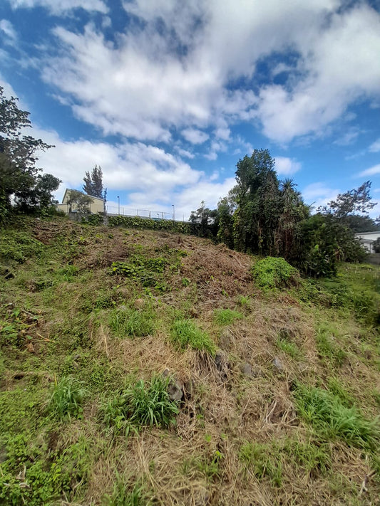 SAINT-JOSEPH/ TERRAIN A BATIR 1157M2