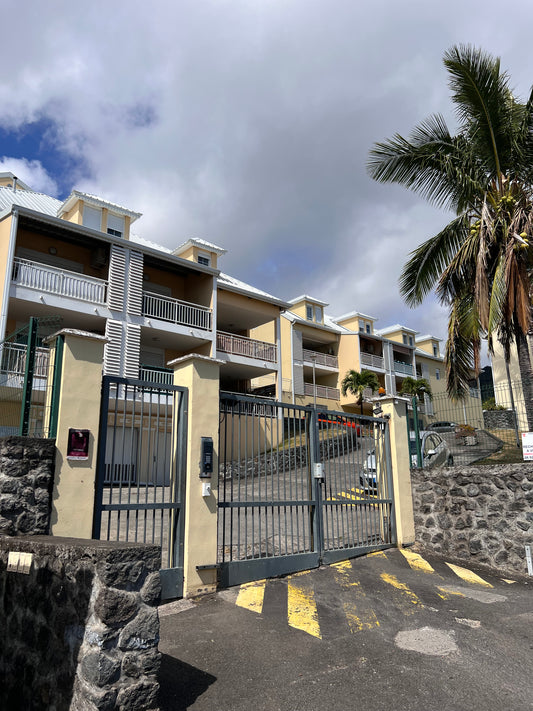 SAINT DENIS / CHARMANT APPARTEMENT DUPLEX À BELLEPIERRE