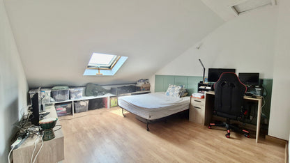 PITON SAINT-LEU/ MAISON JUMELÉE AVEC JARDIN