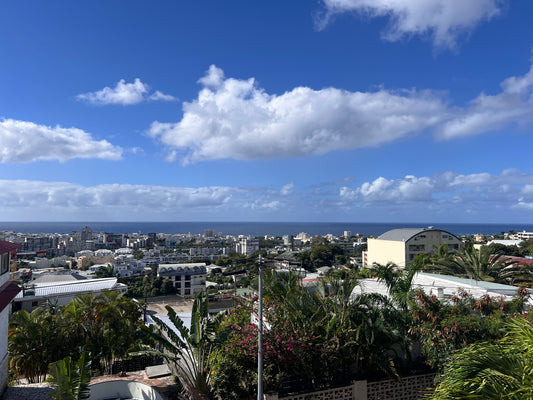 SAINT-DENIS/T2 vue mer avec varangue et parking sous-sol