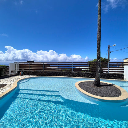 PETITE-ILE/APPARTEMENT DE STANDING AVEC VUE INCROYABLE SUR L'OCEAN